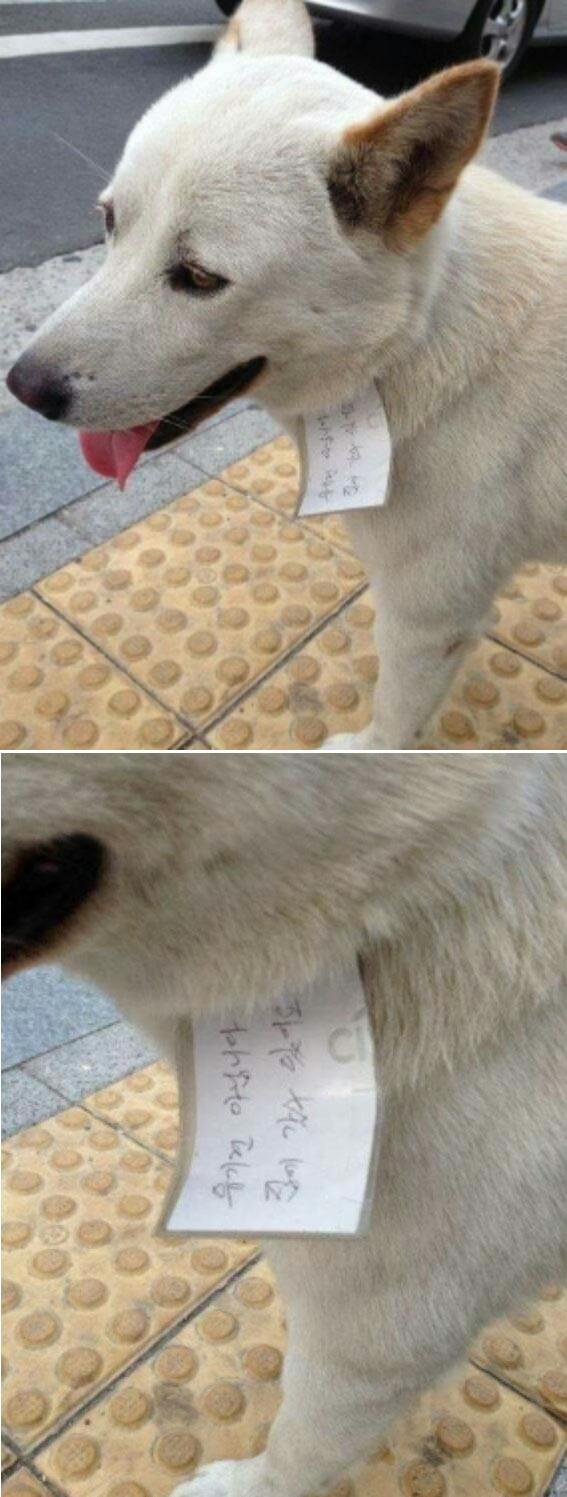 하도 싸돌아다녀서