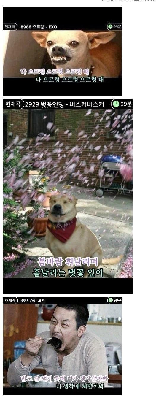 최신 노래방 배경화면