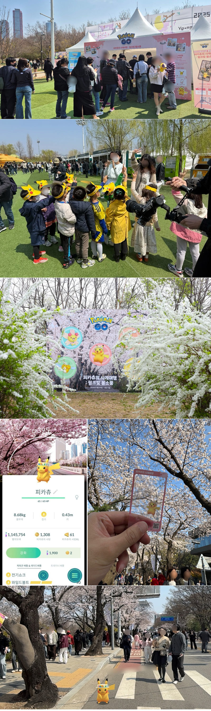 나이언틱, “포켓몬 고” 2025 여의도 봄꽃 축제 이벤트 ‘피카츄의 사계여행 : 핑크빛 봄소풍’ 성료 본문 이미지