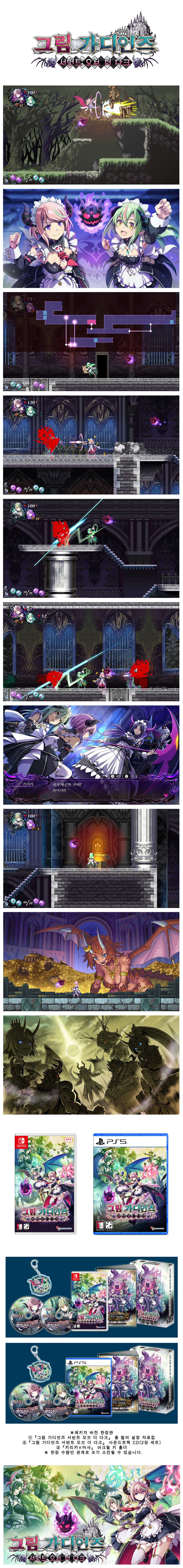 닌텐도 스위치, PS5용 탐색 액션 “그림 가디언즈 서번트 오브 더 다크” 패키지 버전 4월 24일 발매!