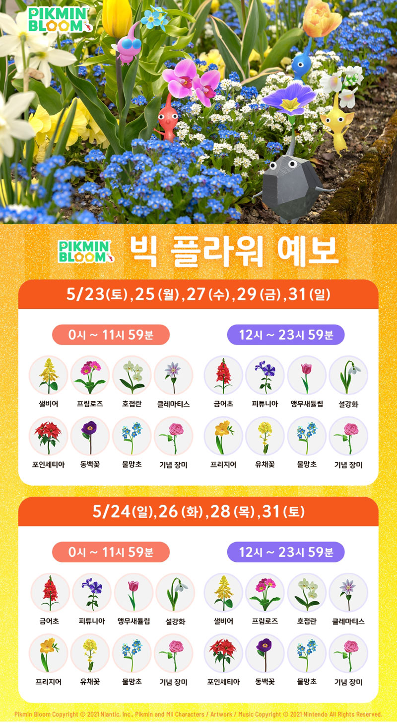 ‘피크민 블룸’, 4.5주년 커뮤니티 위크 개최… 놓친 꽃 심기 배지 다시 얻는다