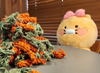 뉴스 썸네일