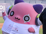 뉴스 이미지