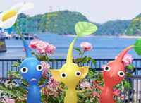 이벤트 이미지