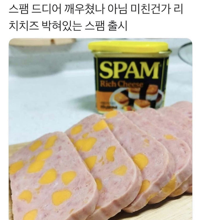 요즘 스팸 스펙