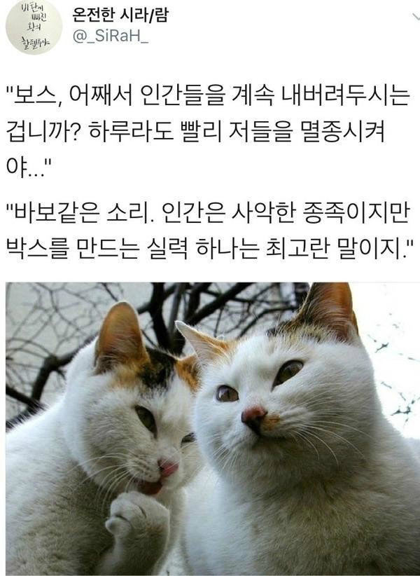 인간이 멸종되지 않는 이유