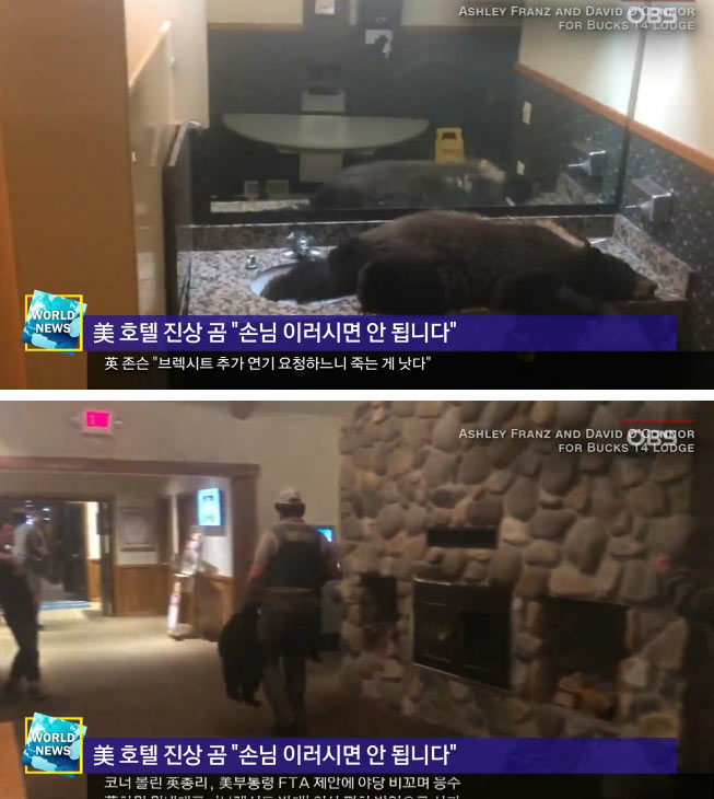 미국 호텔 진상 손님