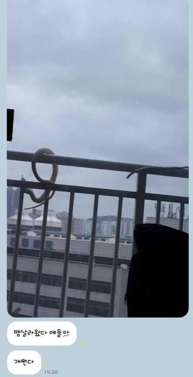 태풍이 가져다 준 선물