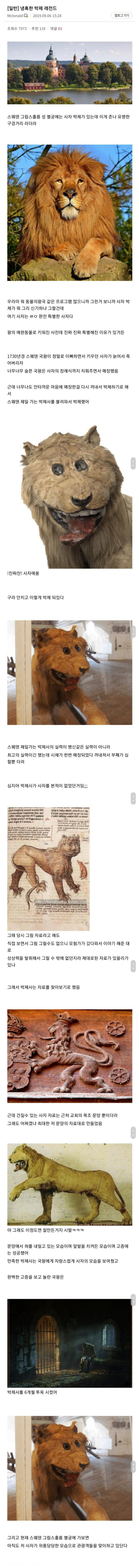 사자 박제 레전드