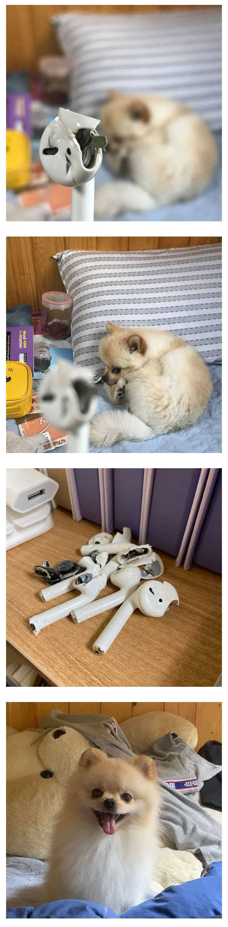 에어팟 학살자