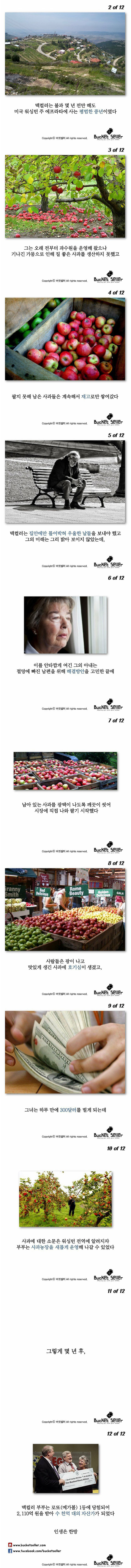 사과 과수원하다 대박