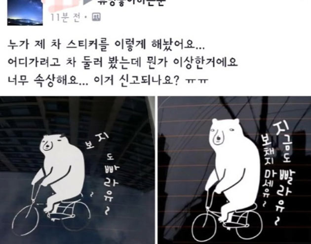 제 차 스티커를 이렇게 해놨어요