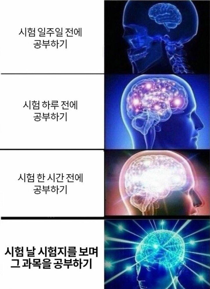시험기간 우리들의 뇌 유형