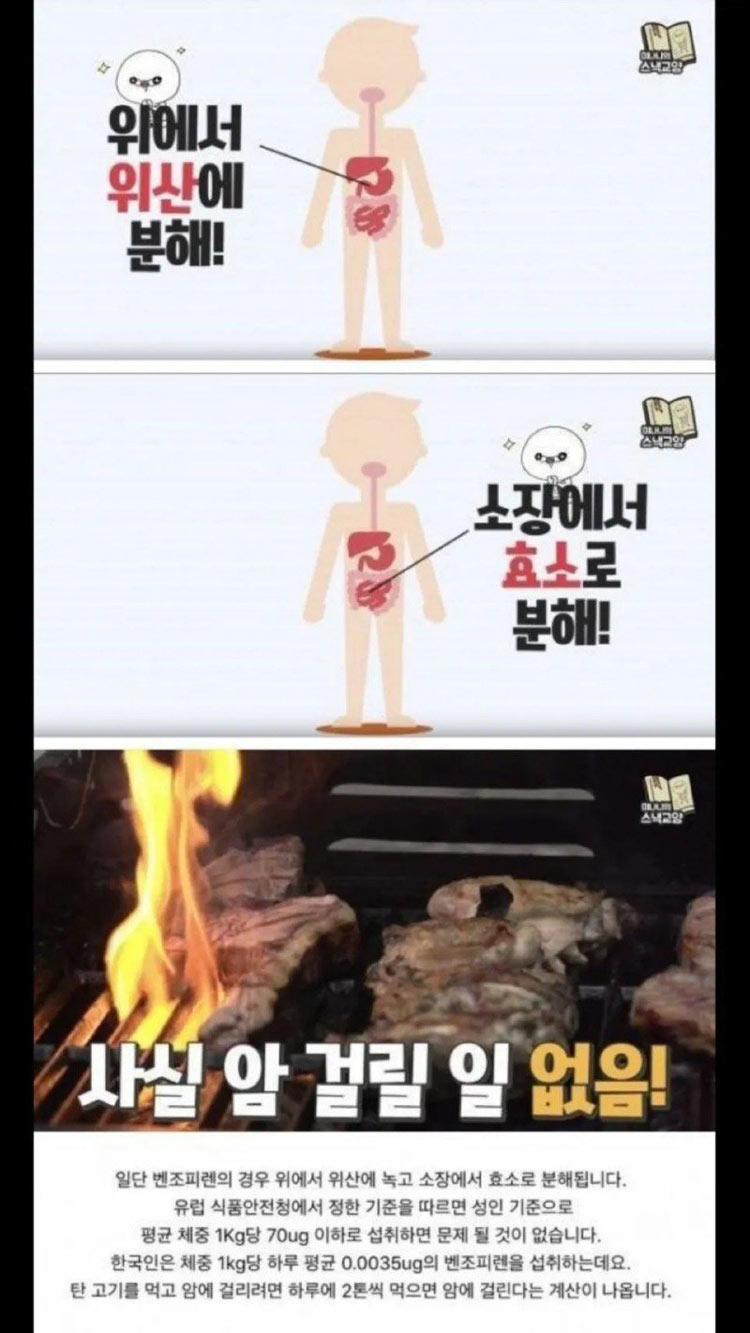 탄 고기 먹고 암걸릴 확률