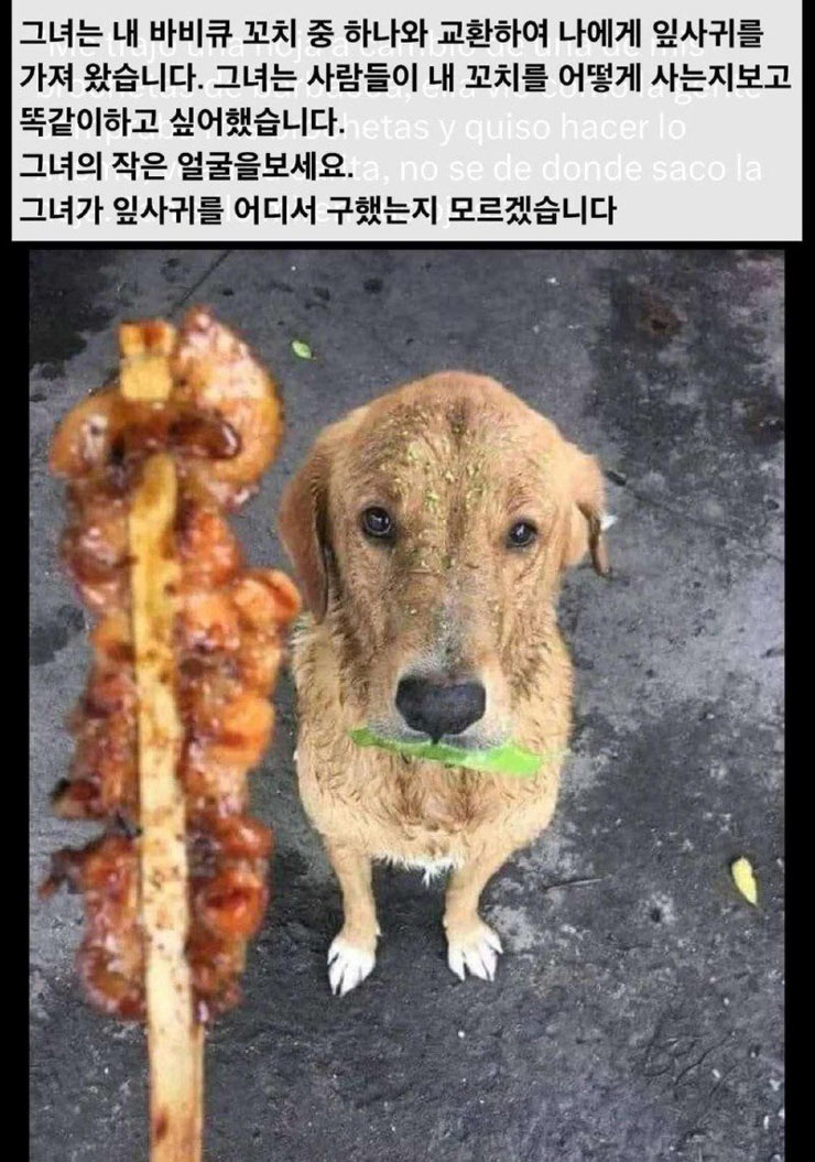 이거 줄테니 내놔라 | 인스티즈