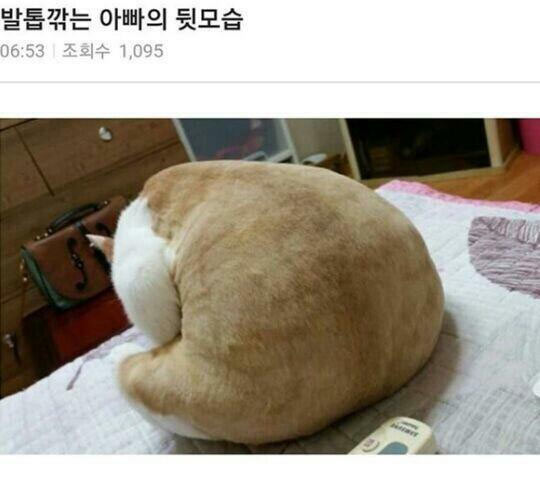 발톱 깎는 아부지