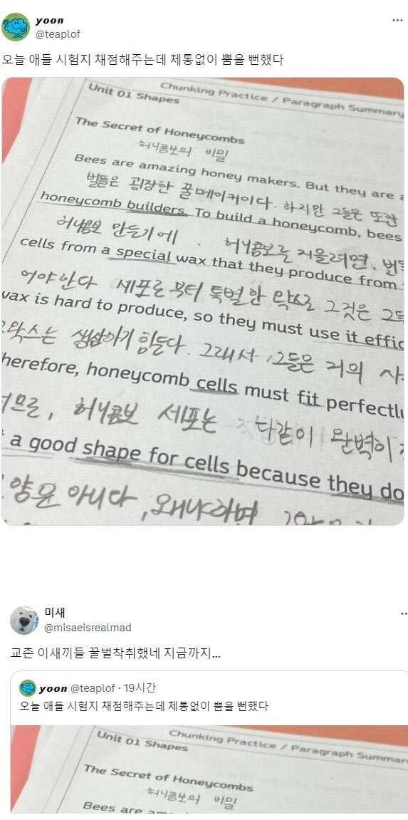 허니콤보의 비밀