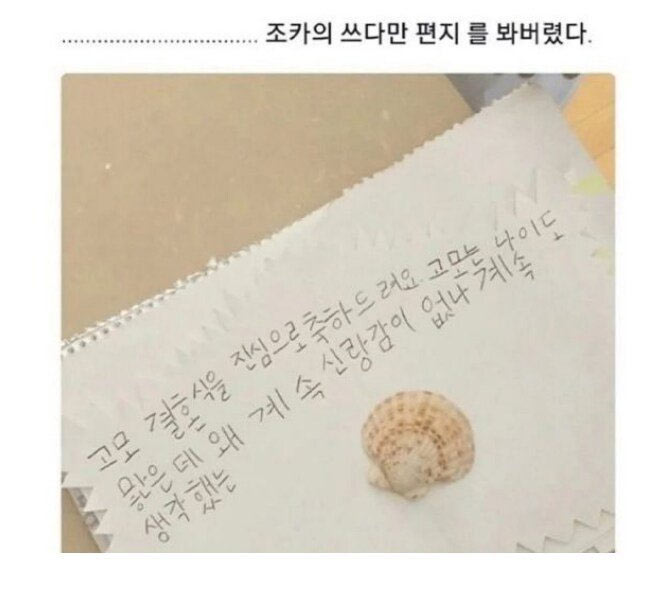 조카의 쓰다만 편지