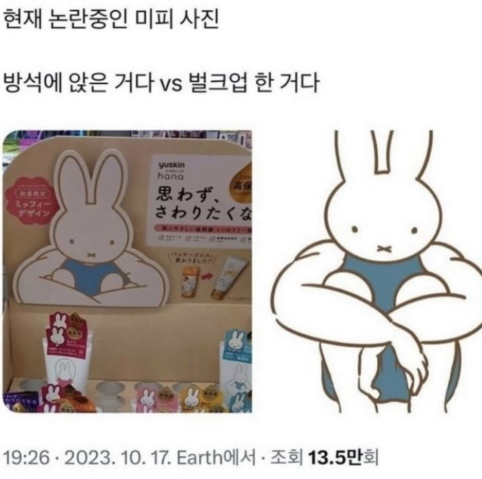 논란중인 미피 사진