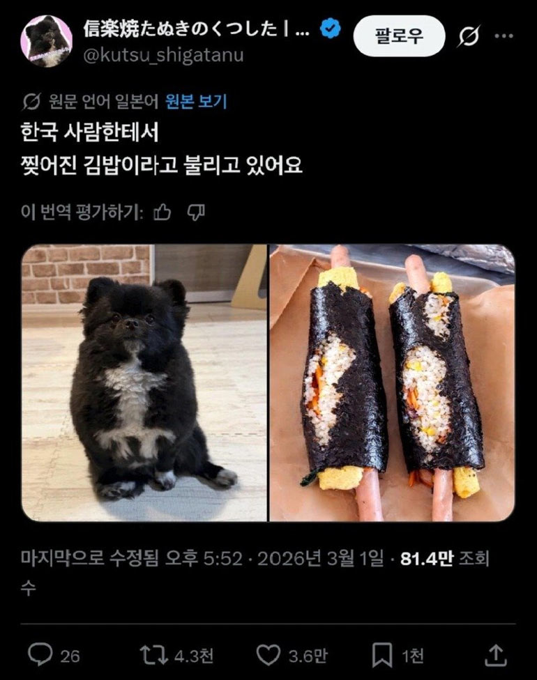 찢어진 김밥아~