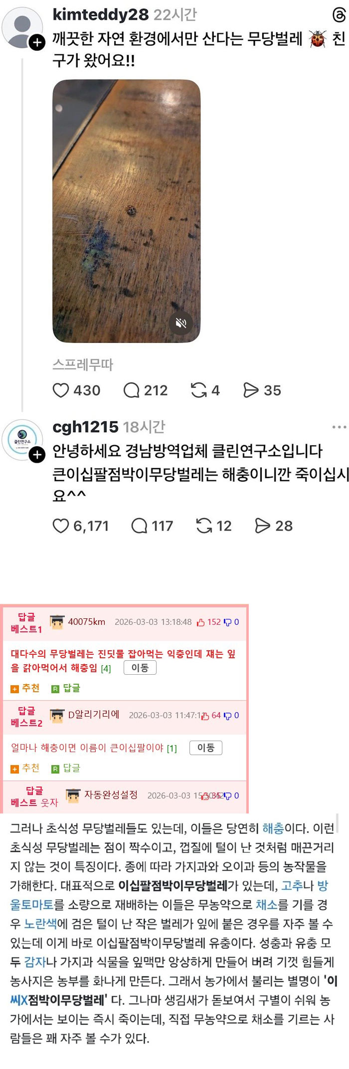 무당벌레 친구가 왔어염~