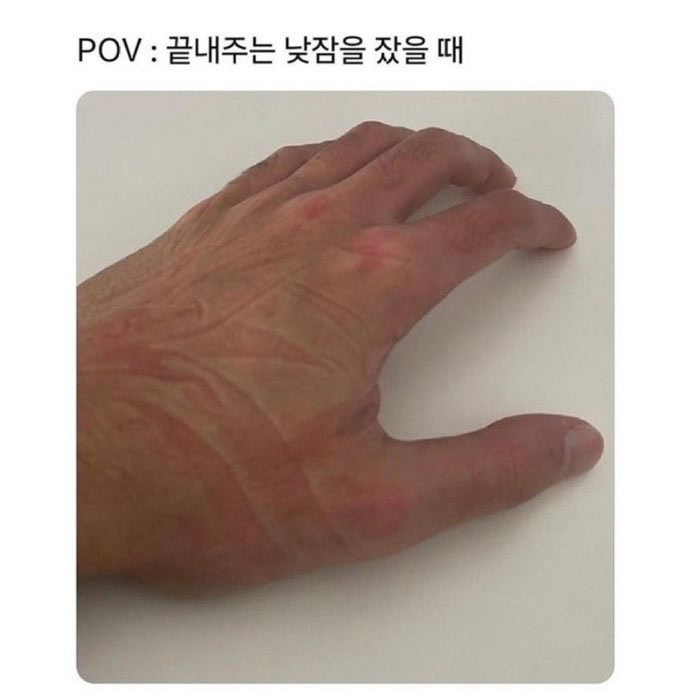 끝내주는 낮잠을 잤을때
