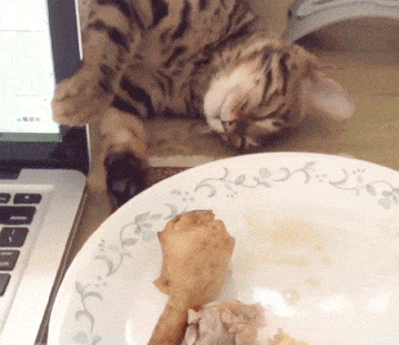 오해하지마라냥