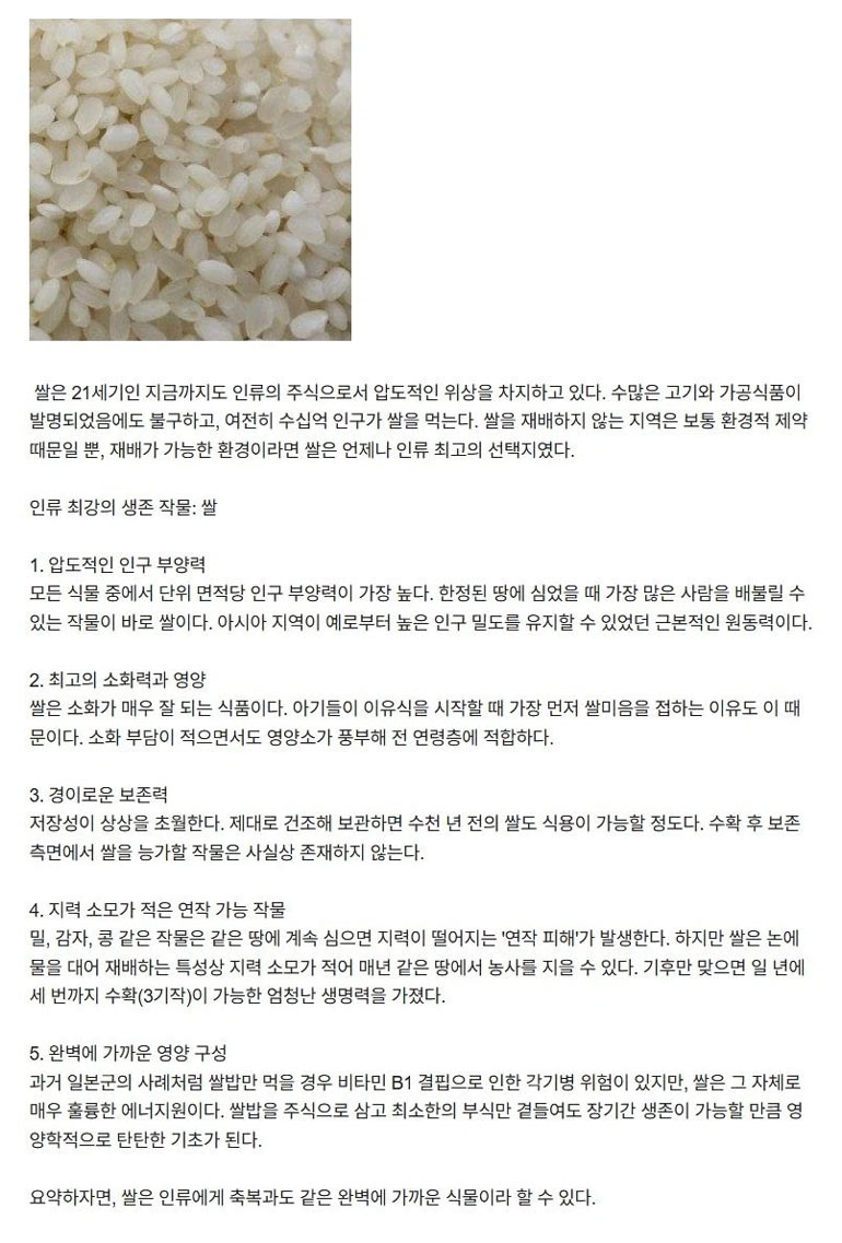 인류 최강 식물