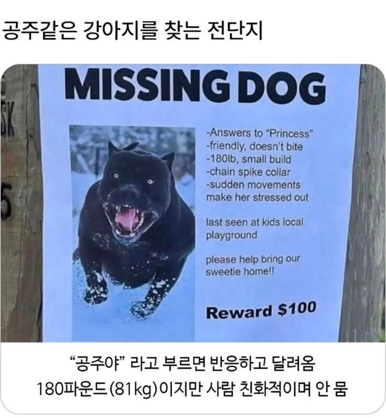 공주야 어디있니?