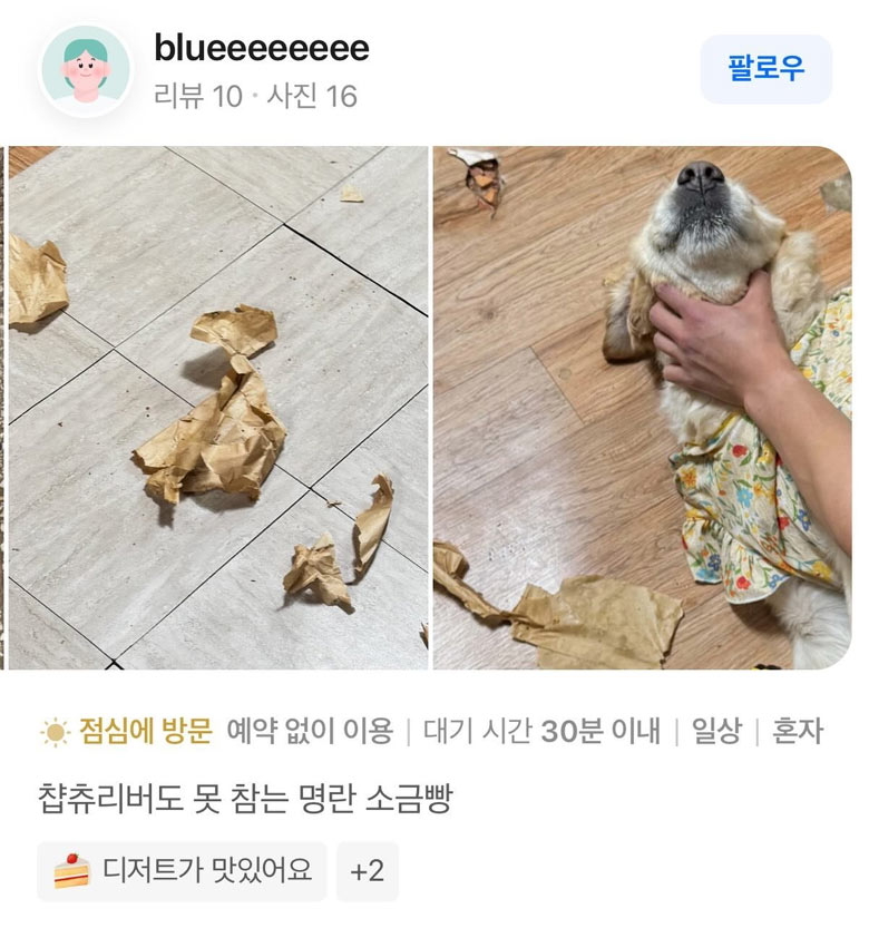 명란 소금빵 후기