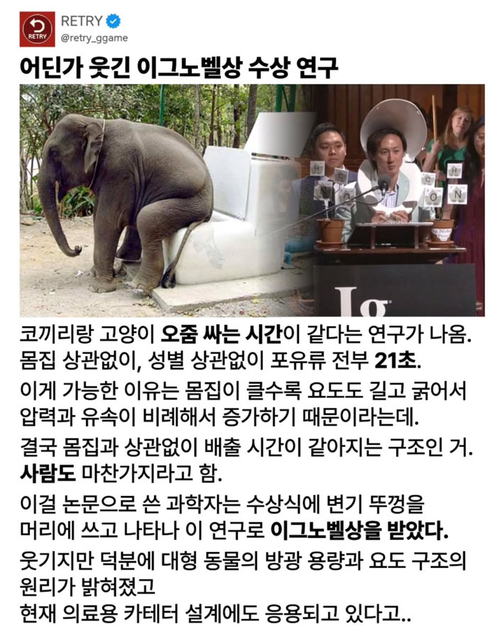 코끼리랑 고양이 오줌싸는 시간