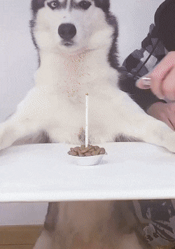 생일파티 이거냐