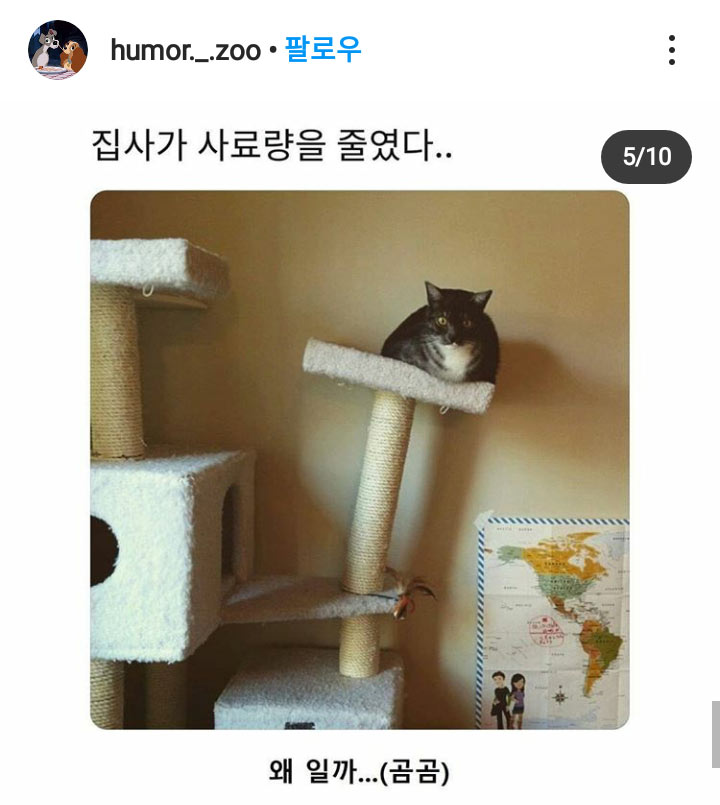 집사가 왜 그랬을까?