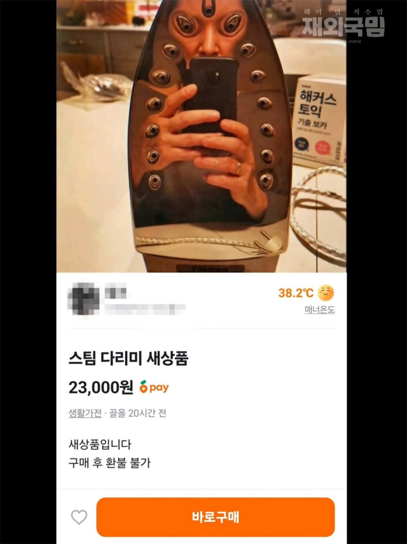 당근에 올라온 스팀 다리미