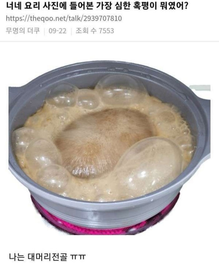 요리사진 중 심한 혹평