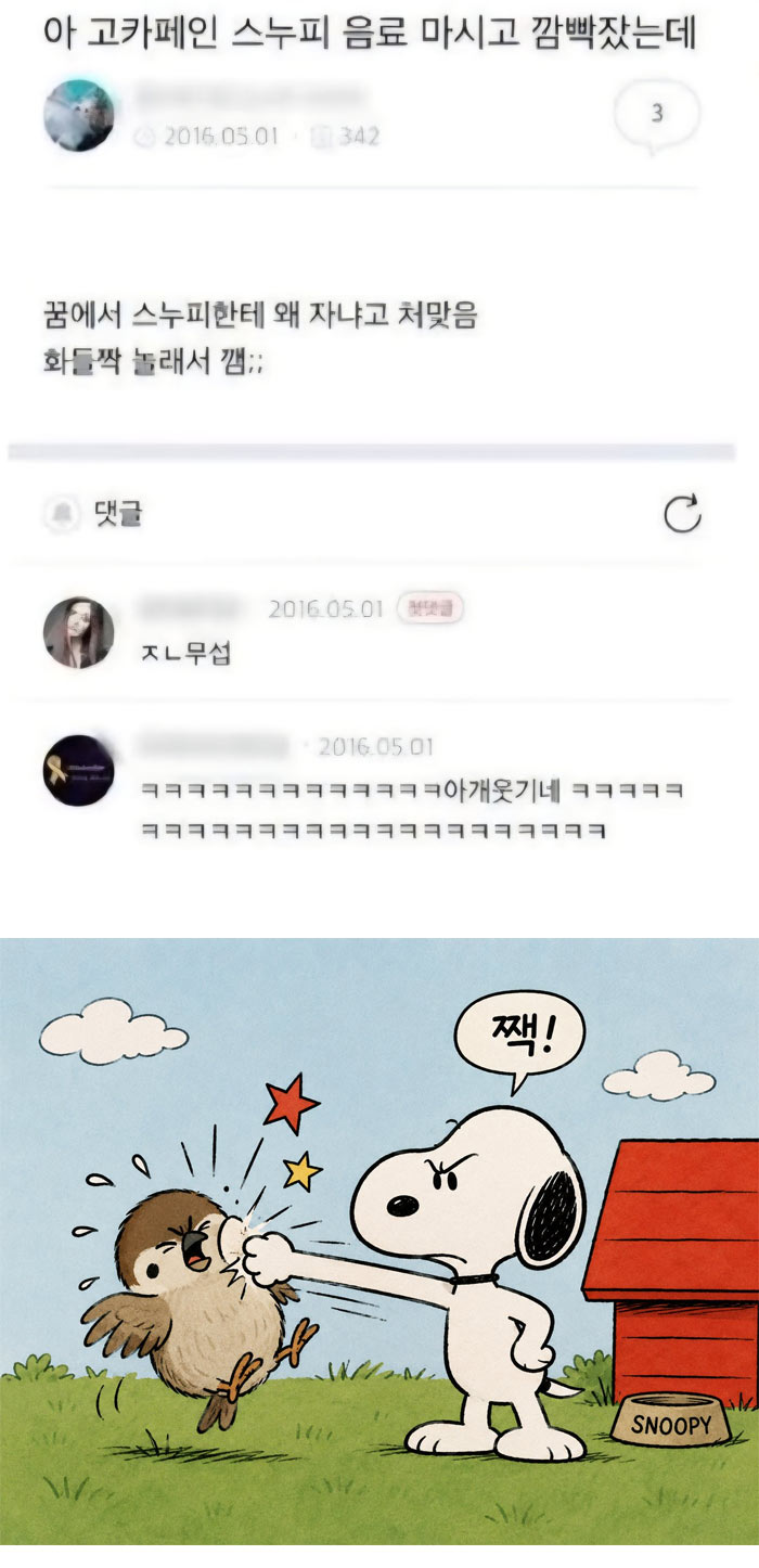 고카페인 스누피 음료 먹고 잤더니