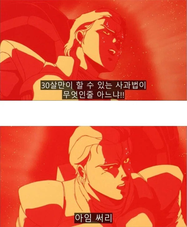 30세만 할수 있는 사과법