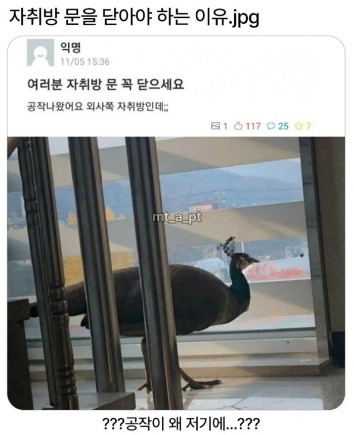 자취방 문 꼭 닫으세요