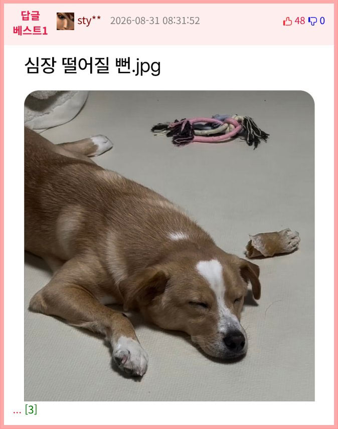 심장 떨어질뻔