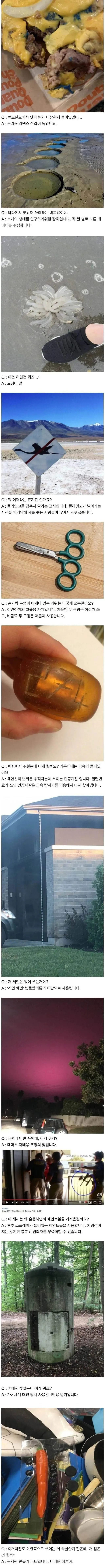 서양의 지식인 문답