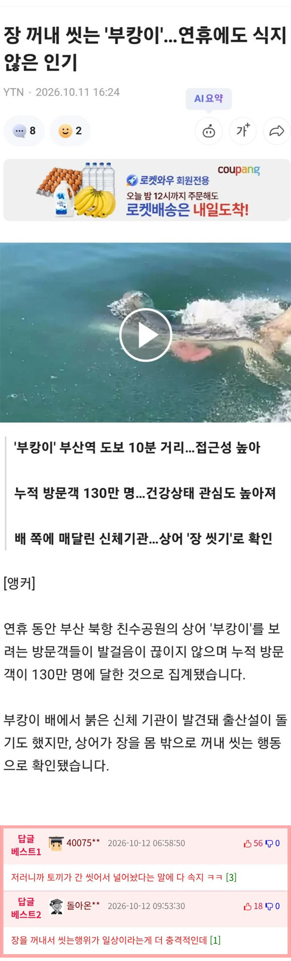부캉이의 장기 자랑