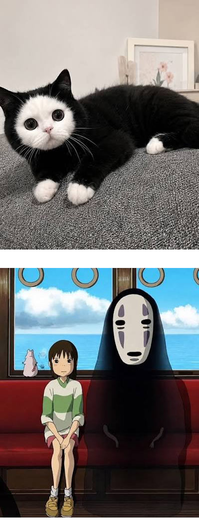 가오나시 닮은 고양이