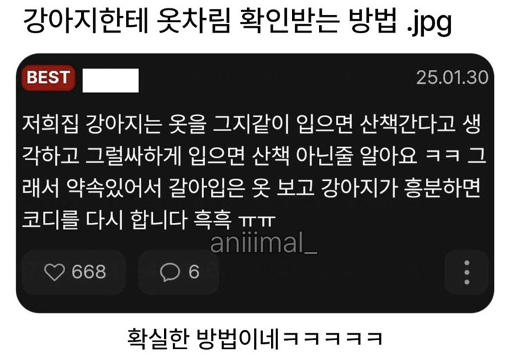 강아지한테 옷차림 체크!